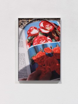 Hanna Stiegeler Contemporary Art Photography Fences Hanna Stiegeler