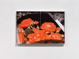 Hanna Stiegeler Contemporary Art Photography Fences Hanna Stiegeler