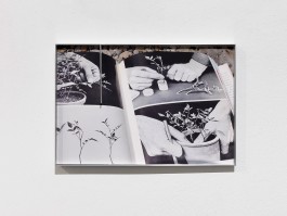 Hanna Stiegeler Contemporary Art Photography Fences Hanna Stiegeler