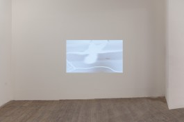 Hanna Stiegeler
