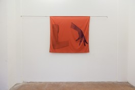Hanna Stiegeler