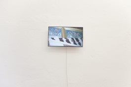 Hanna Stiegeler