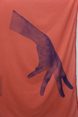 Hanna Stiegeler