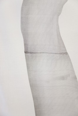 Hanna Stiegeler