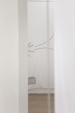 Hanna Stiegeler