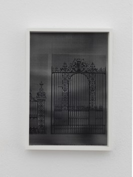 Contemporary Art Photography_ Hanna Stiegeler