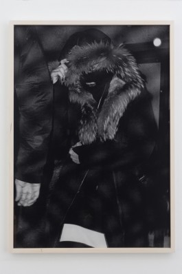 Hanna Stiegeler
