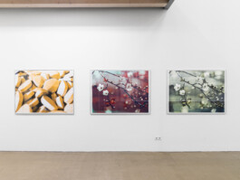 Hanna Stiegeler
