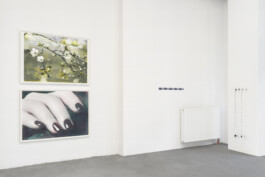 Hanna Stiegeler