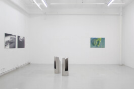  Hanna Stiegeler