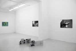  Hanna Stiegeler
