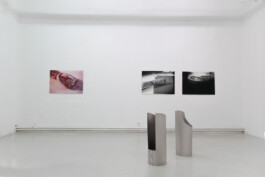  Hanna Stiegeler