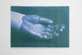  Hanna Stiegeler