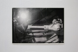  Hanna Stiegeler