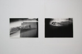  Hanna Stiegeler