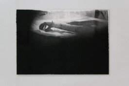  Hanna Stiegeler
